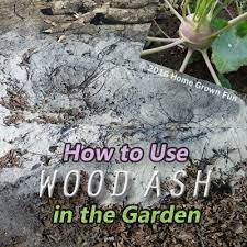 how to use wood ashes in the garden