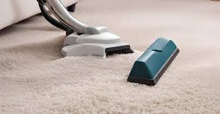 top carpet cleaning experts