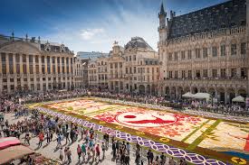 brussels flower carpet explore