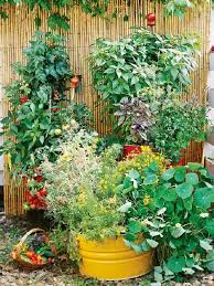 Container Vegetable Garden Design Ideas
