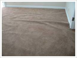 dma floors carpet