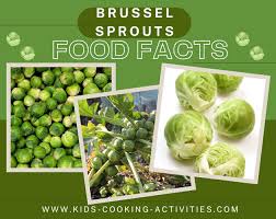 brussel sprouts facts an information