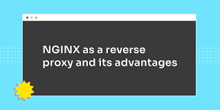 nginx as a reverse proxy and its