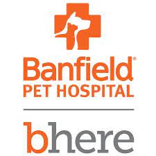 In 2009 banfield obtained their first primera división title after winning the 2009 apertura. Banfield Pet Hospital Jobs And Careers Indeed Com