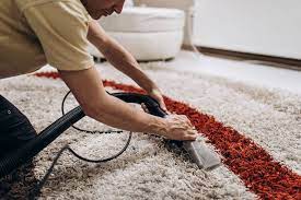 carpet cleaning services wellington