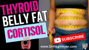 how to get rid of thyroid belly fat