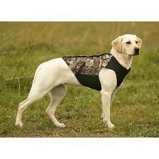 Hodgman Neoprene Dog Vest 85306 Dog Vests Apparel At