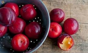Image result for Plum job a job that pays well