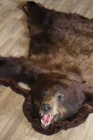 brown bear rug c d international