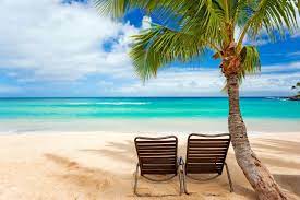 deck chair, Palm, sea, Beaches - Full ...