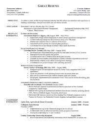 CV Formats and Examples Best Resumes Curiculum Vitae And Cover Letter