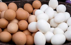 Image result for eggs