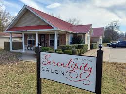 serendipity salon studio mountain