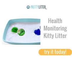 Pretty Litter Cat Litter Review Cat Litter Help
