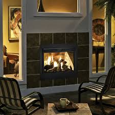 Twilight Outdoor Indoor Gas Fireplace