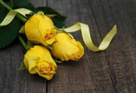 yellow roses on a table 5916581 stock