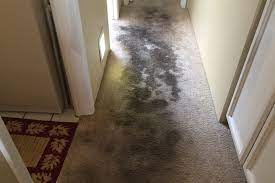 sacramento carpet repair don t