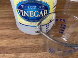ac drain line with vinegar