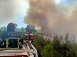 Vidéos. Gironde : trois incendies de forêt se sont déclarés dans le Médoc,  à La Teste et à Landiras