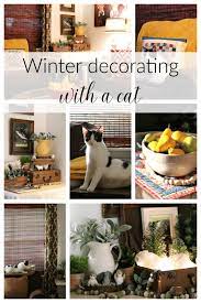 Winter Decorating With A Cat Cozy