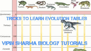 Tricks To Learn Evolution Chart And Some Special Points For Neet Aiims Jipmer Etc Exams