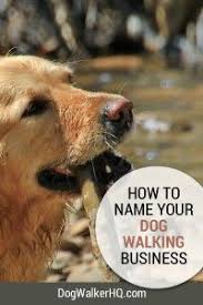 Catchy Dog Walking Names Barca Fontanacountryinn Com