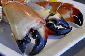 Let the claws steam for 5 minutes. Fresh Florida Stone Crab Claws Order Online Incredible Stonecrab