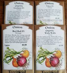 How To Onions For Use All Winter