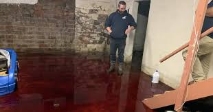 basement flooded with animal blood