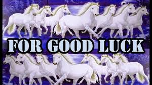 White horse galloping in green grass desktop hd wallpaper. Seven White Horses Running Wallpaper For Good Luck By Astrologer Bharat Youtube