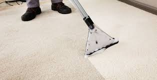 carpet cleaning ta fl