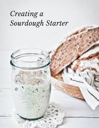 how to create a sourdough starter from