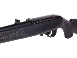 ruger 10 22 co2 cal 177