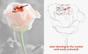 It is a perfect fit for beginners and makes flower drawing easy.these. How To Draw A Rose Learn To Draw Rose Pencil Drawings Art Is Fun