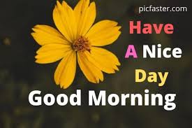 Check spelling or type a new query. Latest 40 Good Morning Flower Images Free Download Whatsapp Dp Status Picfaster