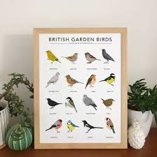 british garden birds print by kate