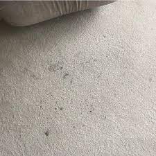 black spots removal from carpet