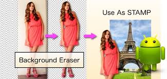 Image result for How to remove a photo background