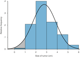 relative frequency distribution an