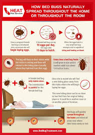 bed bug heat treatment los angeles and