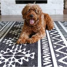 ruggable rugs reviews paw of approval