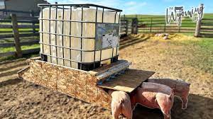 make a pig feeder from an ibc tote and