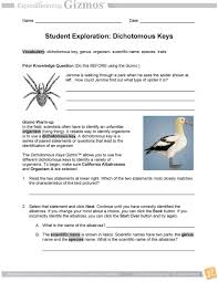 If the answer is false, change the underlined word(s) to make the statement. Student Exploration Dichotomous Keys Pdf Free Download