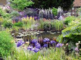 wildlife pond for your garden or patio