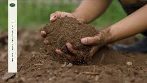 The Best Soil For Growing Vegetables