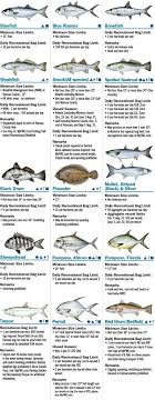 Coastal Species Florida Saltwater Fishing Regulations