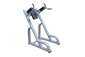 vertical knee raise and dip station for