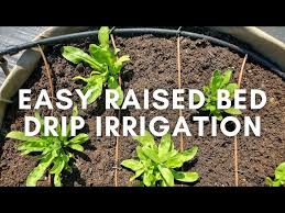 Easy Raised Bed Drip Irrigation System
