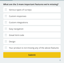 16 4 Best Customer Satisfaction Survey Examples To Use