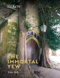 Immortal Yew Book The Kew